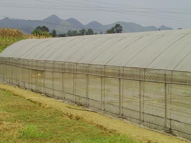 貴陽驚濤鋼結(jié)構(gòu)|貴陽卷閘門安裝|貴陽平式活動(dòng)板房|貴陽輕鋼廠房|貴州活動(dòng)板房安裝|貴州網(wǎng)架結(jié)構(gòu)|貴陽幕墻玻璃制作 活動(dòng)板房價(jià)格 - 貴州驚濤鋼結(jié)構(gòu)工程