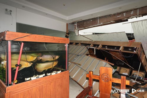 多圖俯瞰災后廣州鐘落潭鎮(zhèn) 廠房受損嚴重,屋頂鐵皮被掀飛